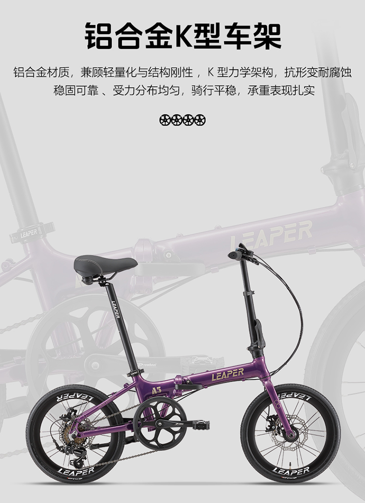 莉泊A5